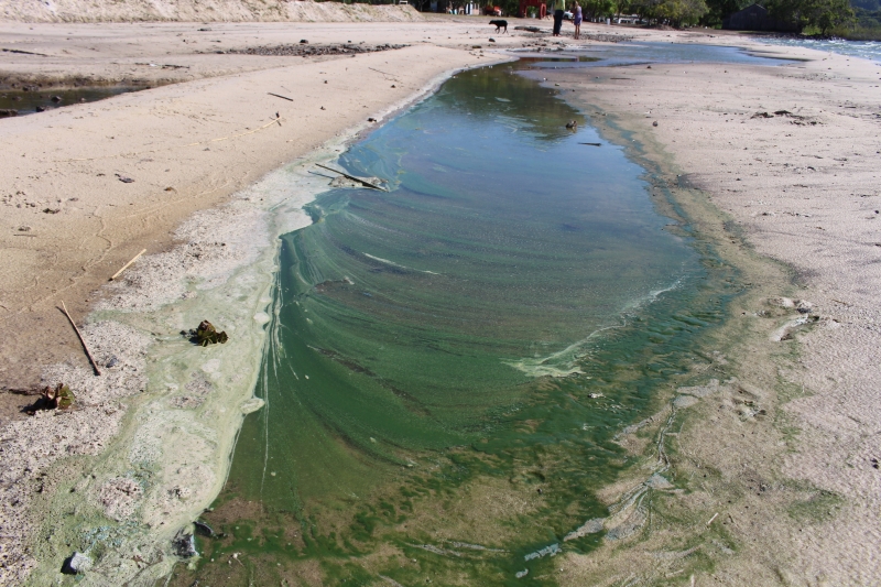 No início deste ano, água da Lagoa dos Barros, onde os dejetos são despejados, apresentou cor esverdeada
