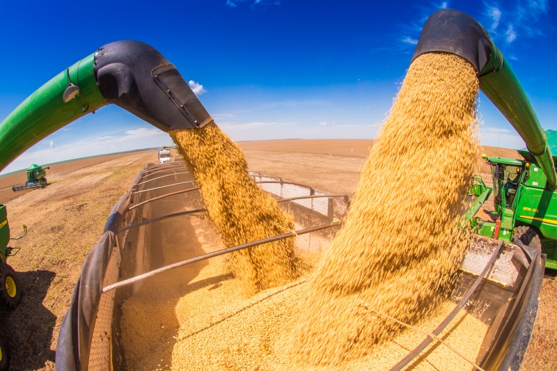 Colheita de grãos deve atingir 268,7 milhões de toneladas em todo o Brasil