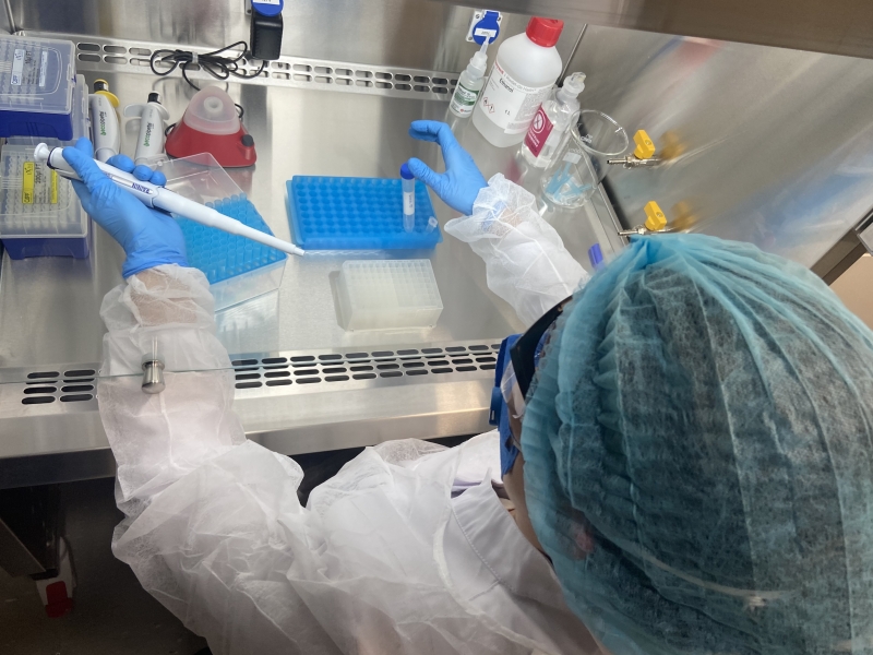 Laboratório de Biologia Molecular do Hospital Moinhos de Vento tem capacidade de realizar 200 testes por dia