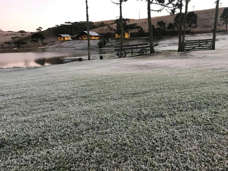 Lavouras de diferentes culturas podem ser prejudicadas pelo fenômeno climático
