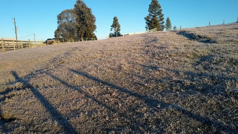 Município nos Campos de Cima da Serra registrou 4,5°C negativos