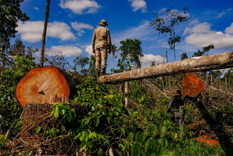 Entre os objetivos está a implementação de projetos e iniciativas para a tutela do meio ambiente natural da Amazônia Legal