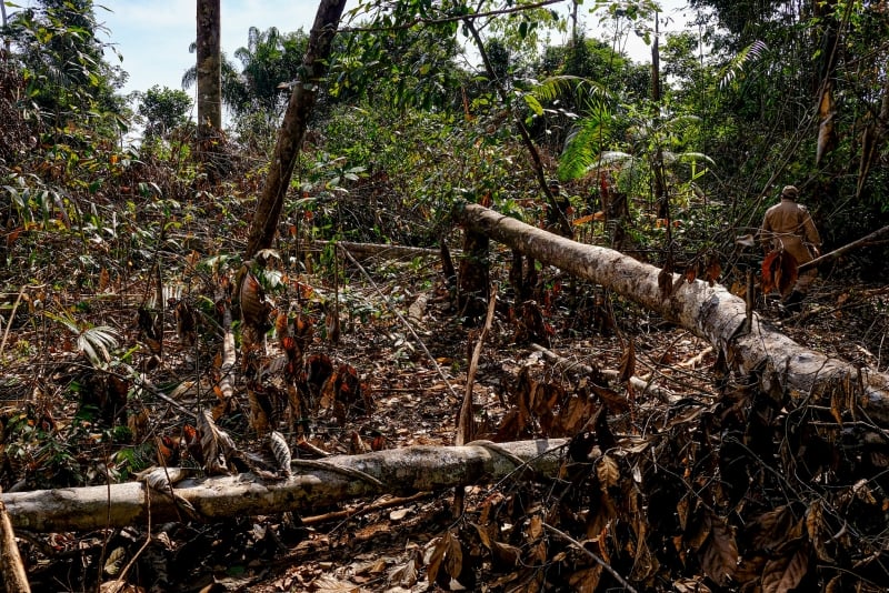País garante aumenta da produção agrícola sem necessidade de desmatamento 