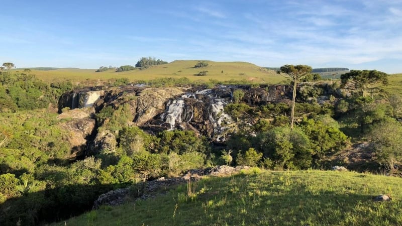 Competição com espécies menos sensíveis à temperatura explicaria cenário do bioma