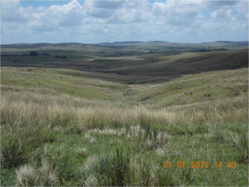 Pampa (na foto, em Quaraí) é exaltado como potencial para unir ambiente natural e economia