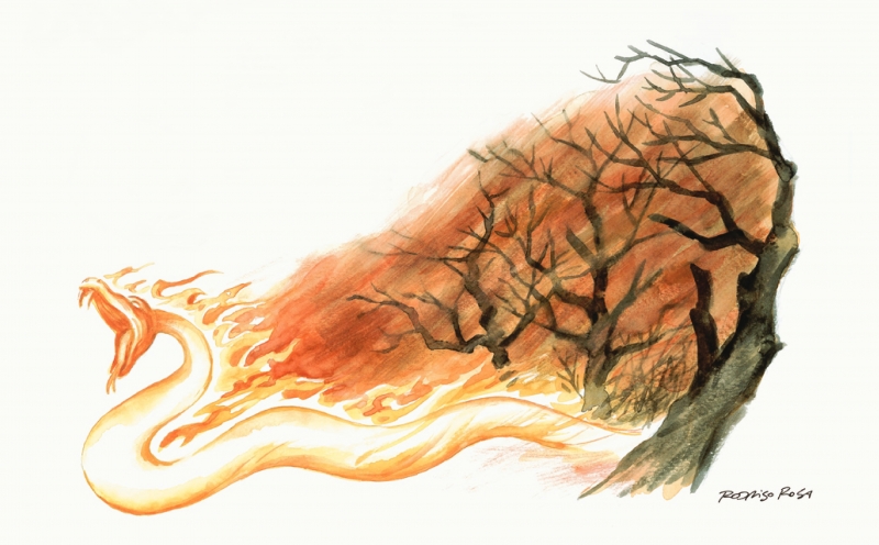 Dana Social distribuiu ilustrações como a Boitatá, de Rodrigo Rosa