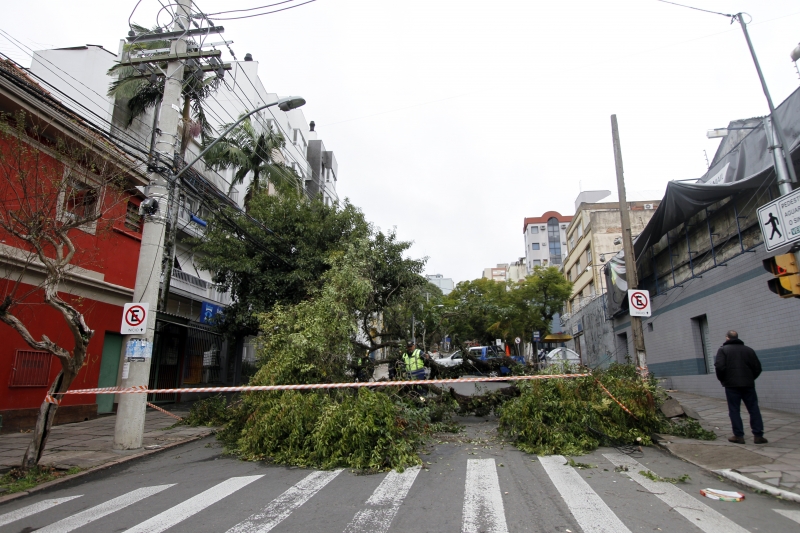 Vento forte derrubou árvores em ruas e avenidas da Capital