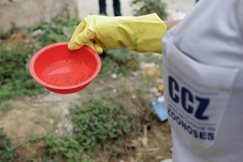 Os órgãos de saúde reforçam a importância de eliminar focos onde o mosquito se prolifera