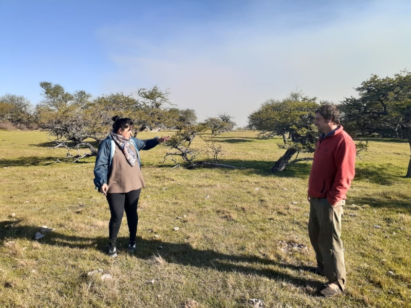 O dia foi de buscas pela localização da nuvem, que teria deixado o local em vários voos curtos