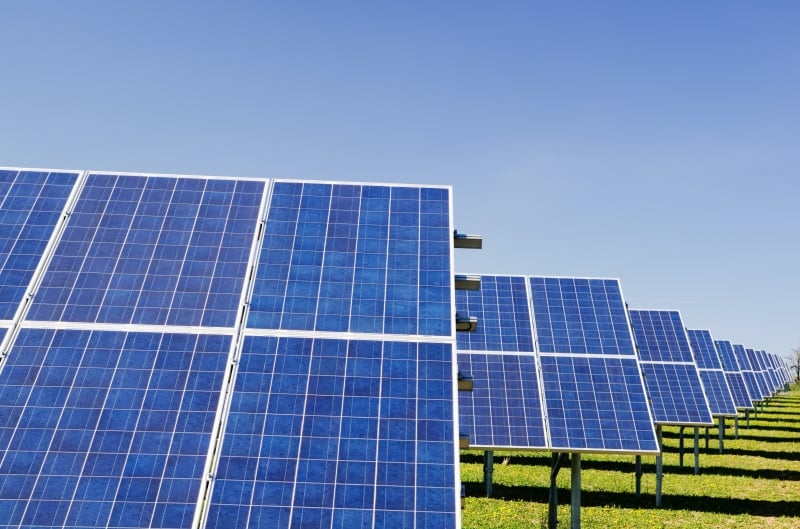 Absolar vê sinergia importante entre o agronegócio e a solar fotovoltaica, com diversos uso no campo