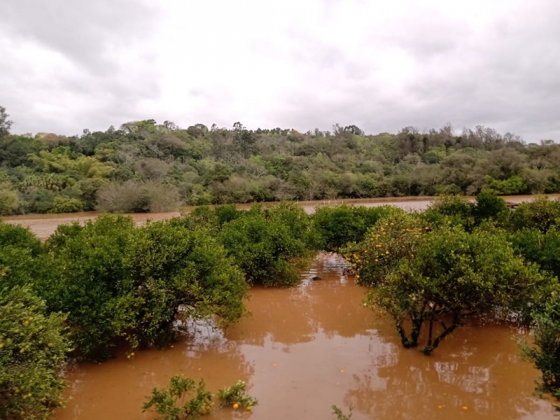 Rio Caí segue causando temor em moradores de diferentes cidades que ficam em suas margens