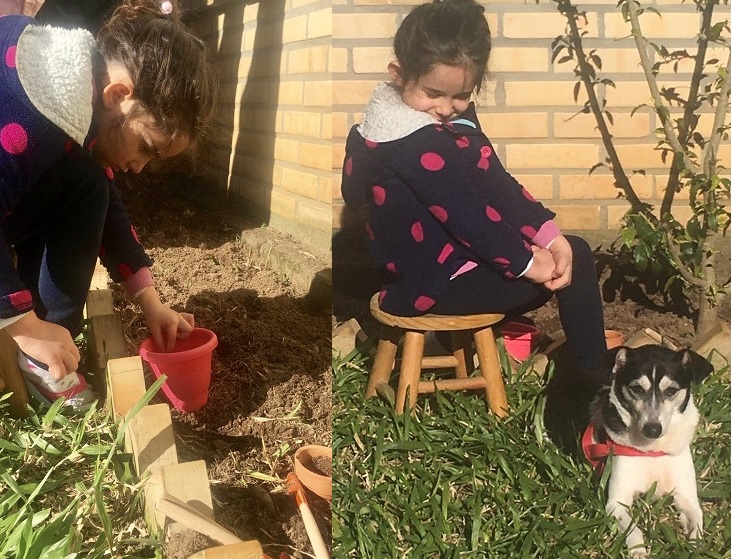 {'nm_midia_inter_thumb1':'https://www.jornaldocomercio.com/_midias/jpg/2020/07/23/206x137/1_larissa-9100814.jpg', 'id_midia_tipo':'2', 'id_tetag_galer':'', 'id_midia':'5f1986209ef3b', 'cd_midia':9100814, 'ds_midia_link': 'https://www.jornaldocomercio.com/_midias/jpg/2020/07/23/larissa-9100814.jpg', 'ds_midia': 'Loca&ccedil;&otilde;es na pandemia - pesquisa Quinto Andar - Porto Alegre- fam&iacute;lia de Fabio Schneider - filha Larissa, cinco anos, em casa que a fam&iacute;lia alugou - im&oacute;veis - mercado imobili&aacute;rio', 'ds_midia_credi': 'FABIO SCHNEIDER/DIVULGA&Ccedil;&Atilde;O/JC', 'ds_midia_titlo': 'Loca&ccedil;&otilde;es na pandemia - pesquisa Quinto Andar - Porto Alegre- fam&iacute;lia de Fabio Schneider - filha Larissa, cinco anos, em casa que a fam&iacute;lia alugou - im&oacute;veis - mercado imobili&aacute;rio', 'cd_tetag': '1', 'cd_midia_w': '732', 'cd_midia_h': '559', 'align': 'Left'}