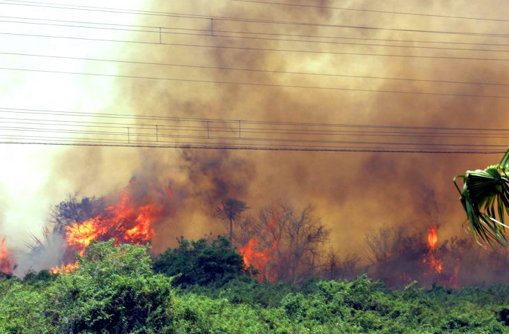 O fogo pode atingir ainda três reservas naturais