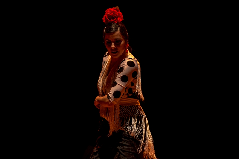Aulas de flamenco pra iniciantes integram projeto 'Arte Sesc - Em Casa com Você'