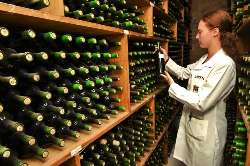 Laboratório de Referência Enológica-Laren - garrafas de vinhos - Fernando Dias Ascom Seapdr