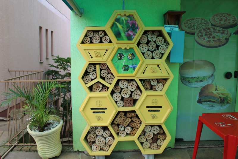 Objetivo é viabilizar a proteção dos insetos que se separam de grupos