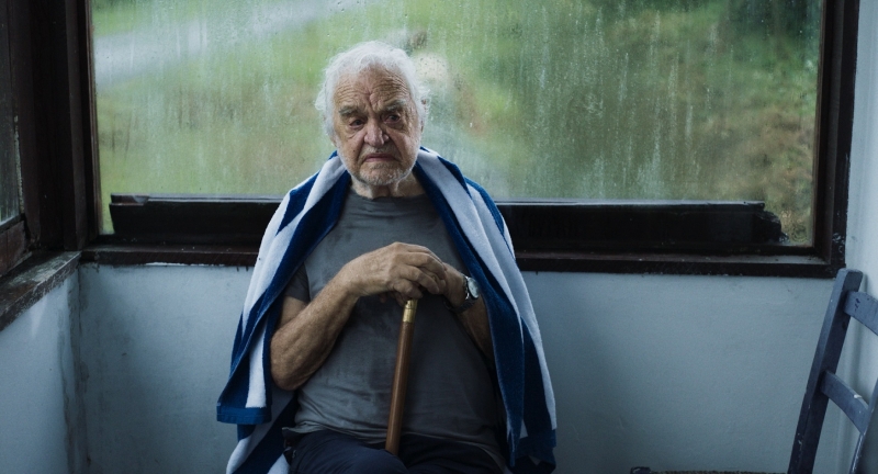 Como Seu Lira, Rogério Fróes ganha destaque na narrativa de Três verões