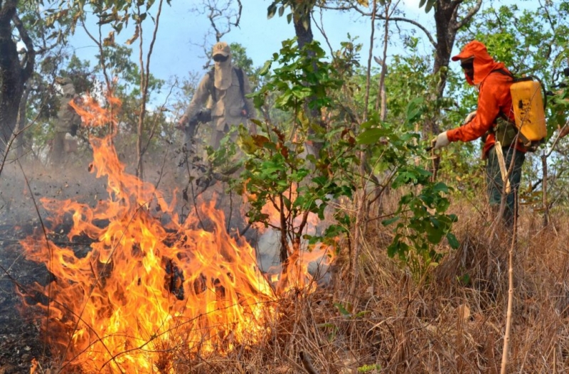 Fogo brasileiro do Cerrado e Pantanal está na mira de represálias comerciais