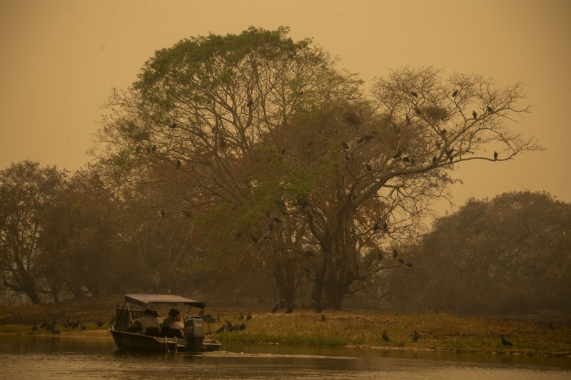 O Pantanal tem atravessado período de queimadas e destruição do bioma