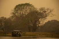 Senadores querem legisla��o para o Pantanal pronta em at� 45 dias
