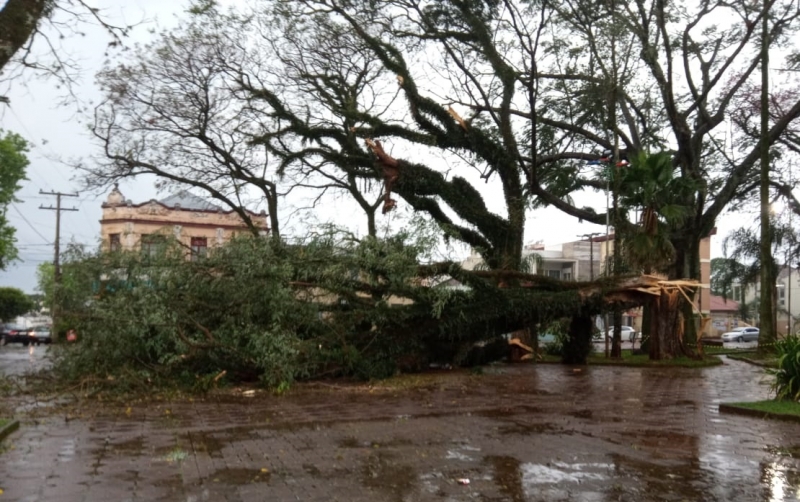 Santo Ângelo, Caibaté e Entre-Ijuís foram mais afetados pela tempestade, que derrubou árvores
