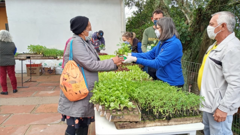 Ação acontece no dia 26 de setembro e quer estimular a formação de hortas caseiras