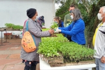 Projeto da Lomba do Pinheiro entrega mudas para hortas caseiras