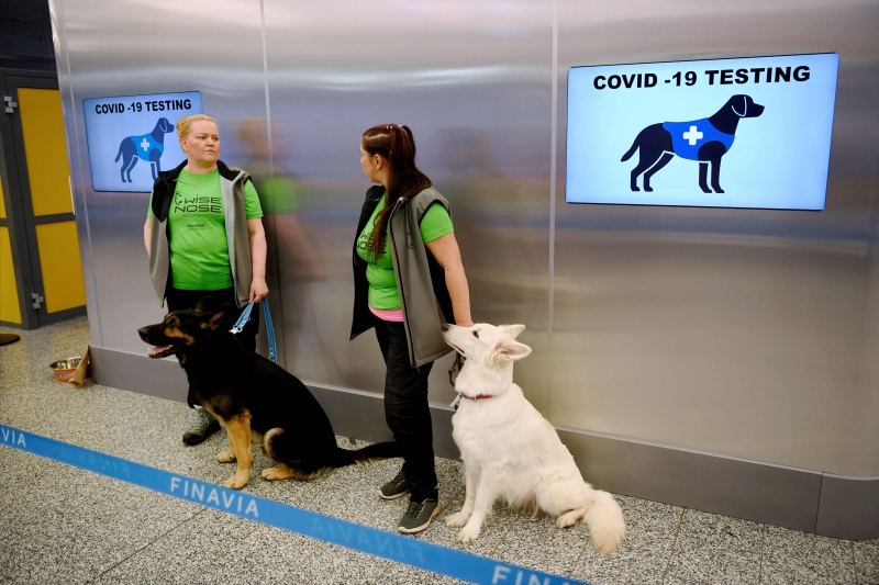 Na Finlândia, passageiros que os cães apontam como positivo são encaminhados para uma verificação convencional