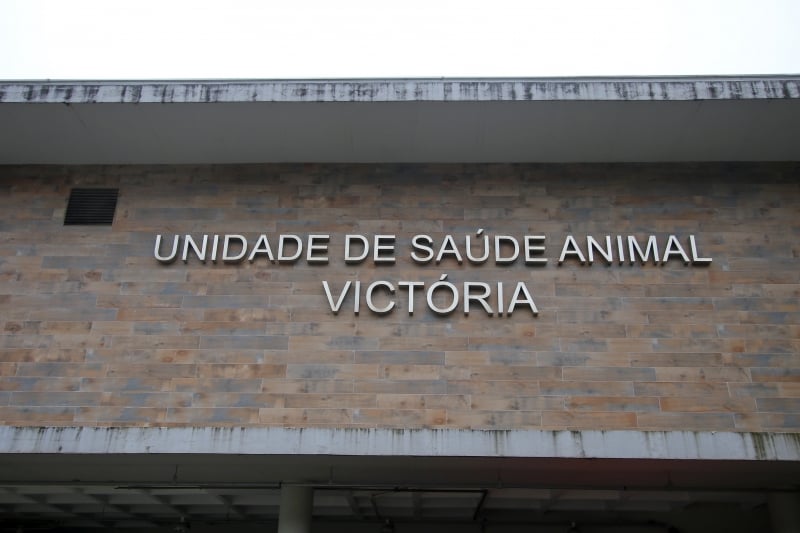 A Unidade de Saúde Animal Victória realiza atendimento clínicos e cirúrgicos 