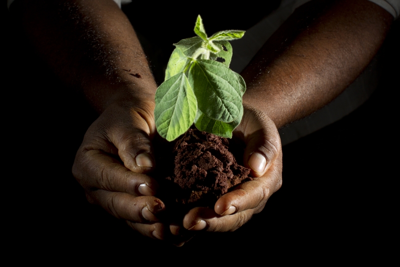 Agricultura sustentável é um dos objetivos traçados pela ONU que ainda precisa conquistar mais adeptos