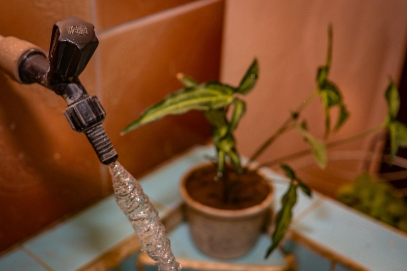 75,3% das pessoas que não estão conectadas à rede de água vivem com até um salário mínimo