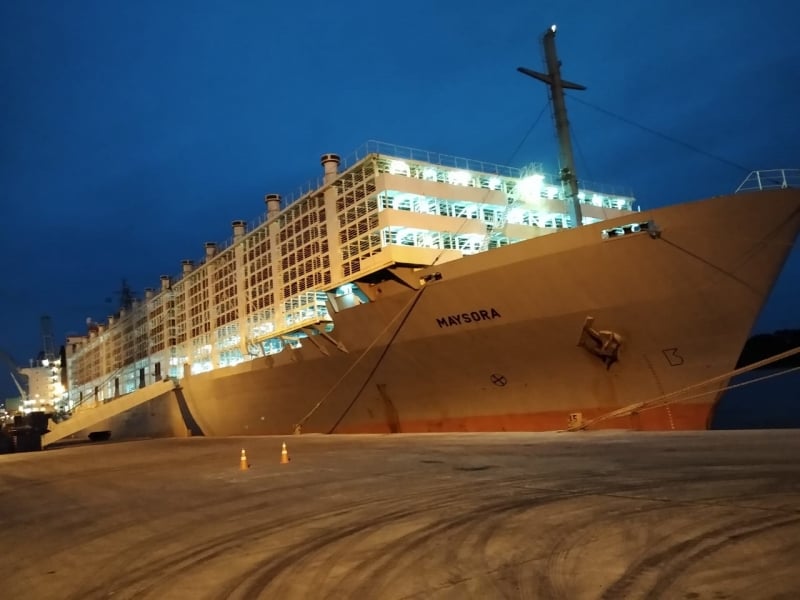 Operação foi realizada no navio Maysora, no Superporto de Rio Grande