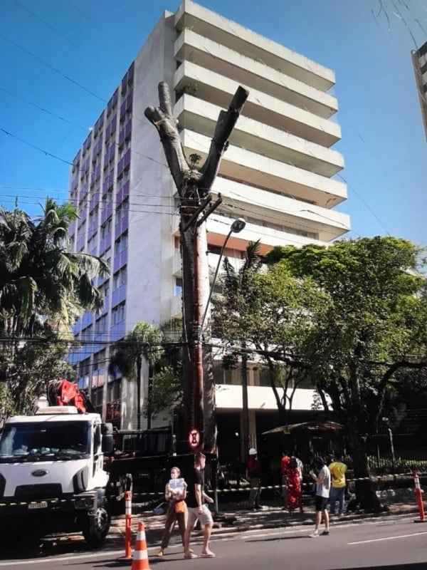 {'nm_midia_inter_thumb1':'https://www.jornaldocomercio.com/_midias/jpg/2020/11/03/206x137/1_img_20201103_wa0018-9179853.jpg', 'id_midia_tipo':'2', 'id_tetag_galer':'', 'id_midia':'5fa1d4d86dd41', 'cd_midia':9179853, 'ds_midia_link': 'https://www.jornaldocomercio.com/_midias/jpg/2020/11/03/img_20201103_wa0018-9179853.jpg', 'ds_midia': 'Protesto impediu o corte de árvore podada na rua 24 de Outubro', 'ds_midia_credi': 'JÉSSICA ALVARENGA/DIVULGAÇÃO/JC', 'ds_midia_titlo': 'Protesto impediu o corte de árvore podada na rua 24 de Outubro', 'cd_tetag': '1', 'cd_midia_w': '600', 'cd_midia_h': '800', 'align': 'Left'}