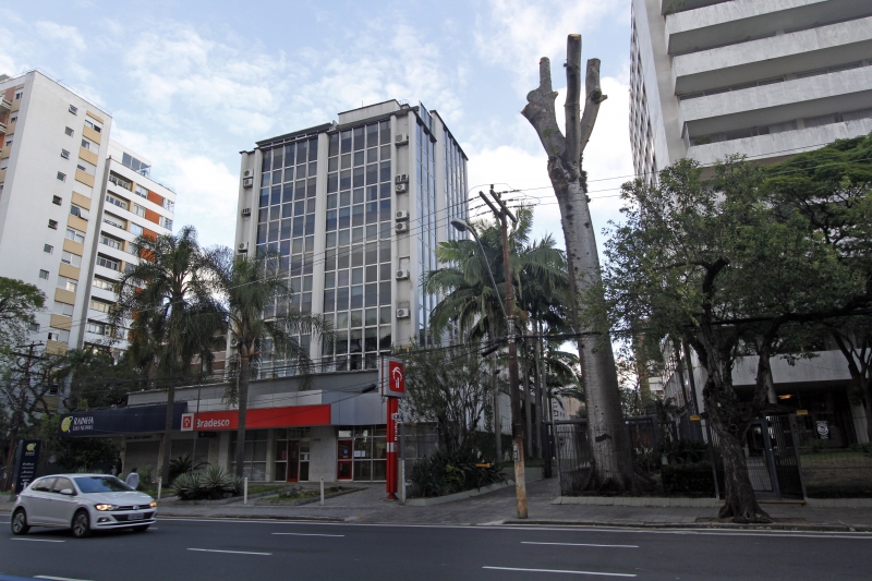 Árvore de espécie nativa tem mais de 25 metros de altura