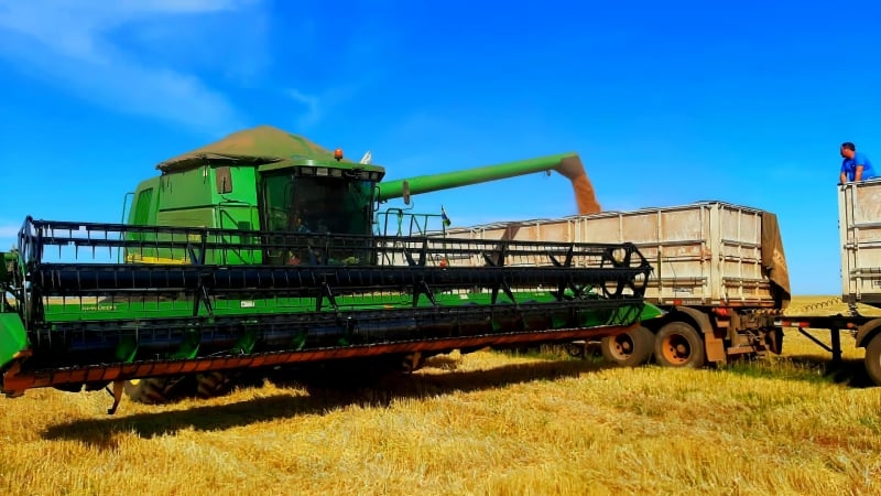 Bloqueio de R$ 445 milhões no PSR freia seguro rural e pressiona setor