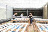 Tecnologia auxilia no cultivo de hortalias em Passo Fundo