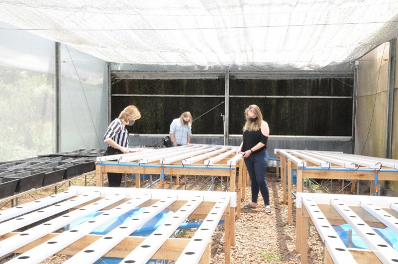 Projeto criado por três mulheres tem o objetivo de buscar inovação na produção e comercialização