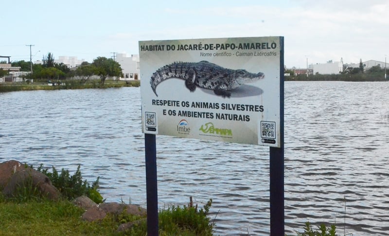 A recomendação da Semmapa é de que os frequentadores evitem contato com o animal | Jos? Luiz Filho/DIVULGA??O/CIDADES