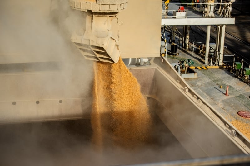 O milho foi o segundo produto com maior destaque, com alta de 42,5% frente a janeiro do ano passado