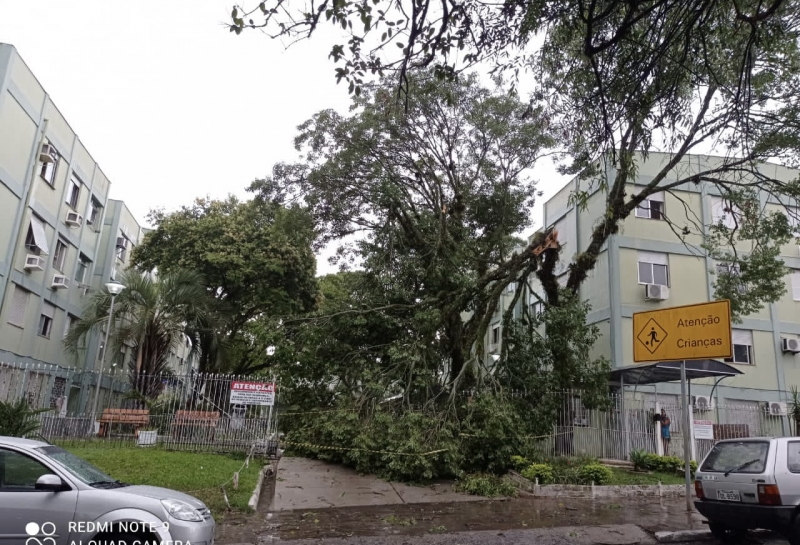 Ventos de até 100 km/h derrubaram árvores ou partes como no condomínio no bairro Camaquã 