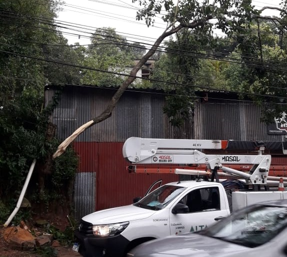 Na avenida Oscar Pereira, um galho causou rompimento de rede na zona Sul de Porto Alegre
