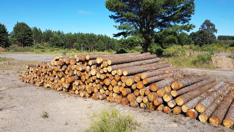 Usina em Cambará do Sul ganha mais tempo para entrar em operação