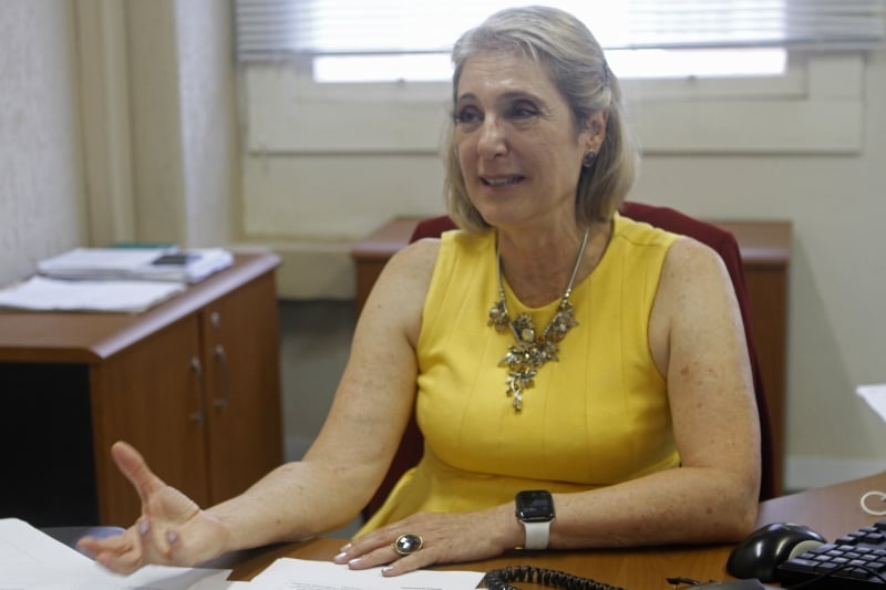 Secretária de Parcerias Estratégicas, Ana Pellini explica o projeto que envolve água e esgoto