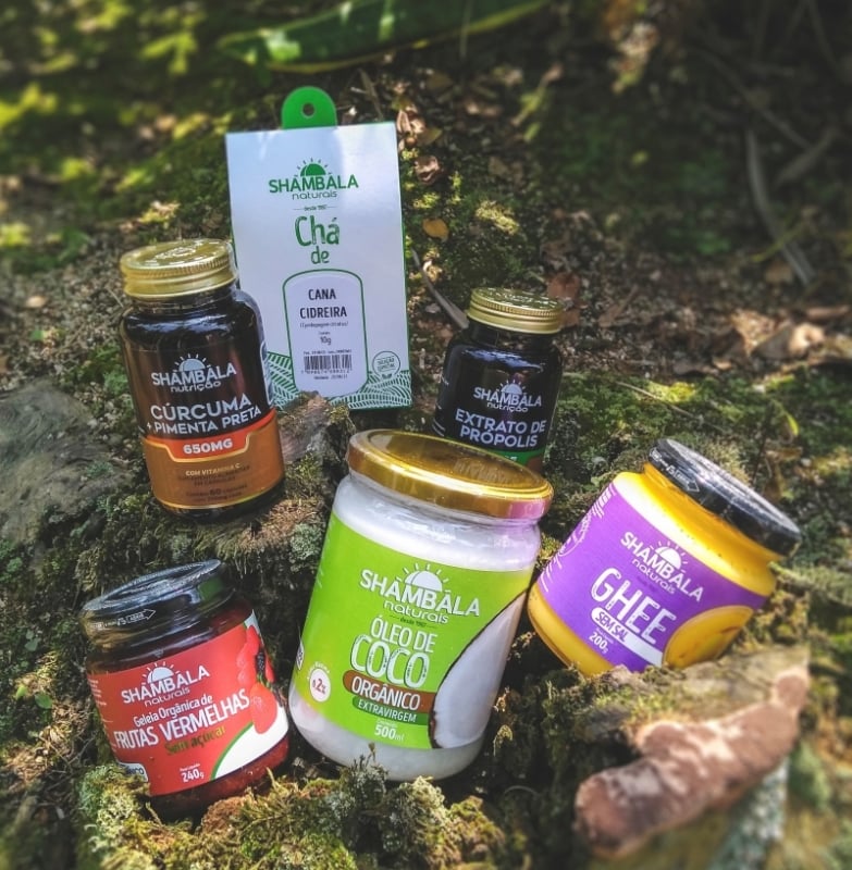 Constantino Rodrigues de Freitas é CEO da Shambala Foto: Shambala/Divulgação/JC