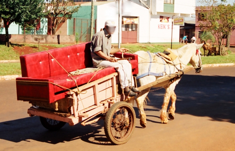 Ideia é retirar carroças e melhorar condições de vida dos carroceiros