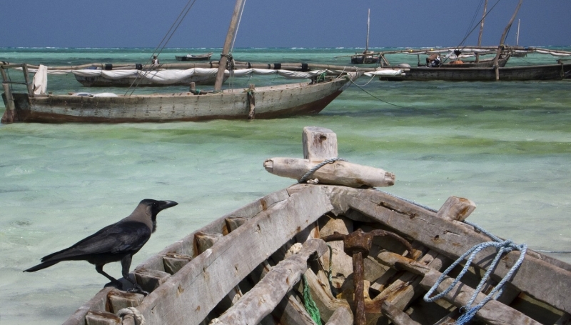 Episódio de estreia explora o arquipélago de Zanzibar, na Tanzânia, no litoral africano