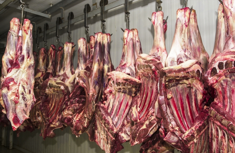 Exportação de carnes do Brasil pode ser afetada por medida