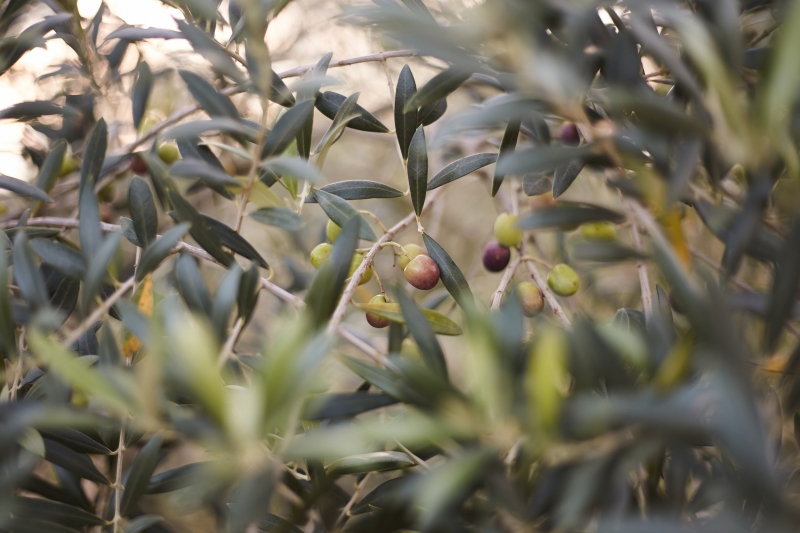 Atividades possibilitam conhecimento sobre diversidade sensorial