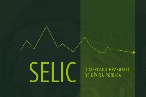 SELIC: O mercado brasileiro de dívida pública; Larissa Naves de Deus Dornelas e Fábio Henrique Bittes Terra; Editora Alínea
