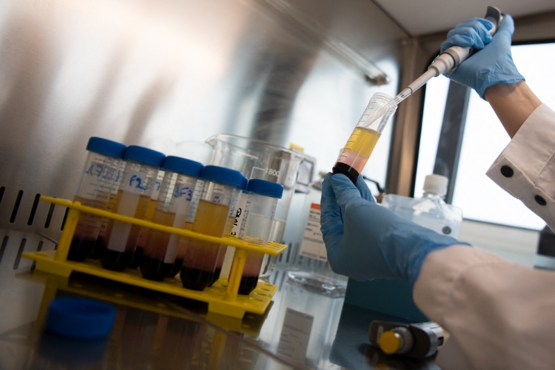 Das 26 amostras analisadas, 20 são de viajantes que passaram pela fronteira de Uruguaiana